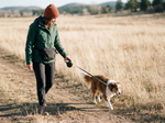 Dog Training Waist Bag - Lifestyle