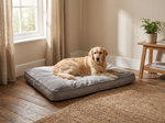 Large Dog Bed - Lifestyle
