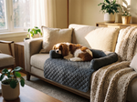 Pet Dog Sofa Bed Dark Gray - Lifestyle