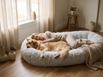 Human Dog Bed Gray - Lifestyle