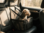 Pet Car Seat Black - Lifestyle